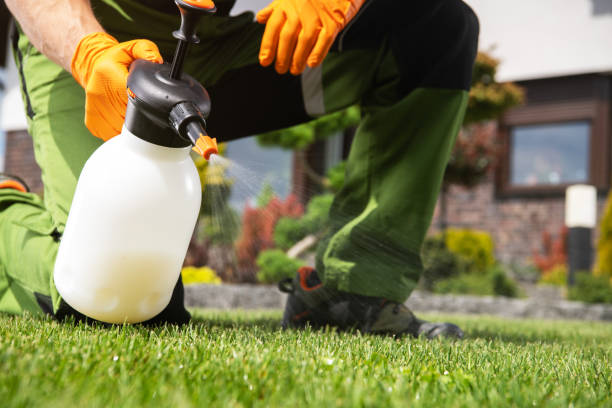 Best Best Pest Control Companies  in Nora Springs, IA