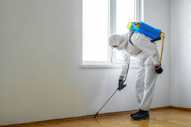Best Pest Control for Homes  in Nora Springs, IA