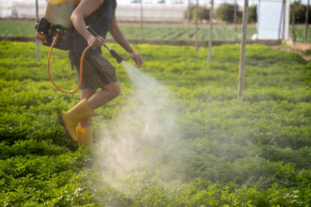 Best Pest Control Cost  in Nora Springs, IA
