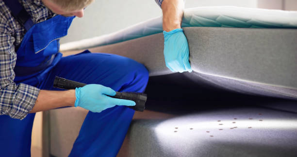 Best Pest Inspection Near Me  in Nora Springs, IA