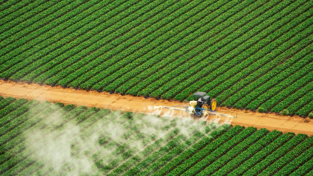 Best Pest Prevention Services  in Nora Springs, IA